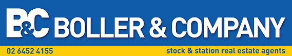 Boller & Company Real Estate