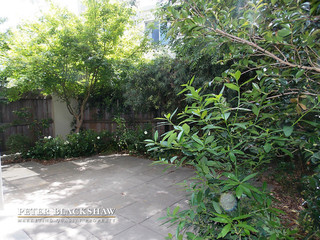 Rear courtyard (2014-11-06)