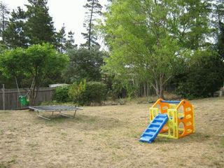 Rear yard (2006-12-01)