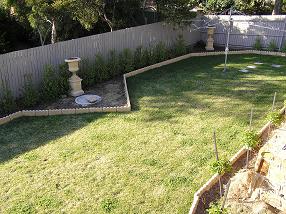 Back Yard (2015-11-12)