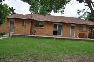 Backyard (2011-02-18)