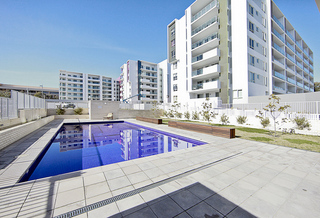 Pool (2015-11-02)