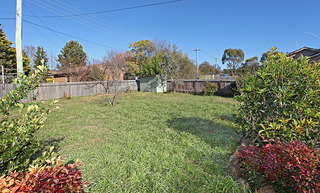 Backyard (2012-06-12)