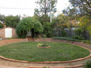 Backyard (2011-11-24)