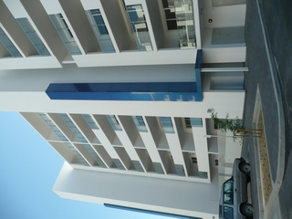 Main (2010-12-31)
