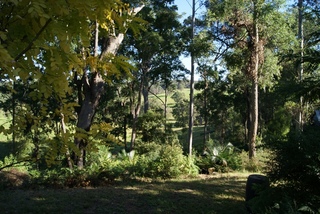 Garden (2011-05-07)