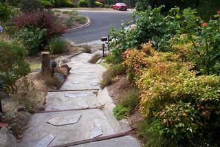 Front path (2006-01-16)