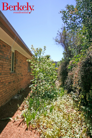 Side garden (2006-10-24)