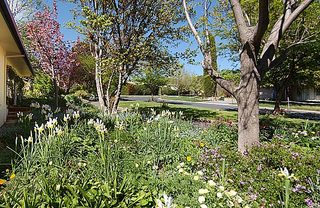 Front garden (2004-10-14)