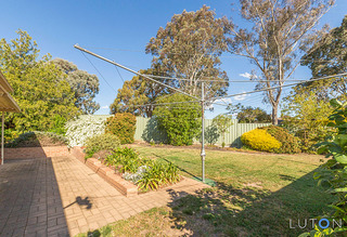 Backyard (2015-10-14)