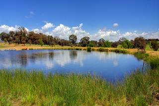 Paddock 1 Dam (2010-10-27)