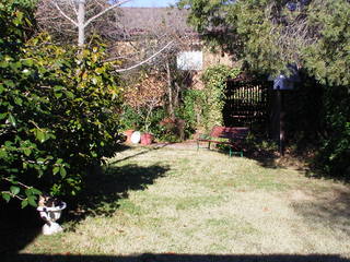 Backyard (2006-07-17)