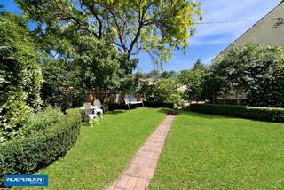 Back yard (2016-01-27)