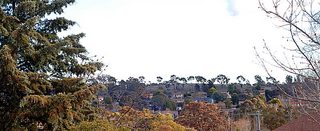 View (2005-08-26)