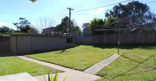 Backyard (2016-01-05)