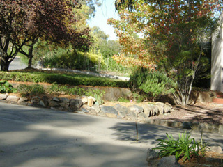 Front garden (2005-04-28)
