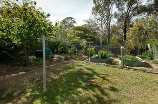 Backyard (2013-12-03)