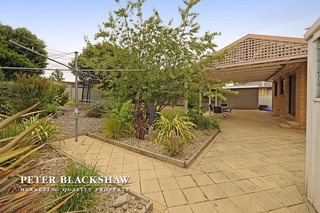 Backyard.2 (2012-12-12)