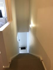 Standard Photo (2019-04-30)