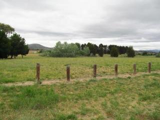 Parkland (2013-11-29)