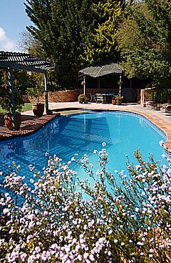 Pool (2003-10-08)