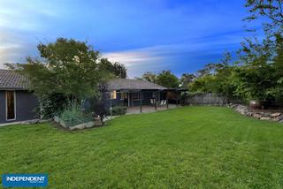 Back garden (2015-11-18)