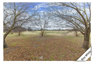 Parkland (2013-08-06)