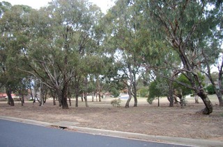 Parklands (2006-06-10)