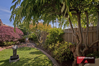 Courtyard (2013-12-03)