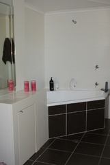 Downstairs bathroom (2011-12-06)