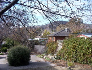 Garden (2006-06-21)