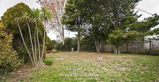 Backyard (2010-07-26)