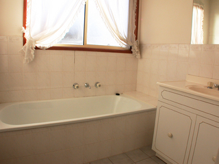 Bathroom (2007-05-21)