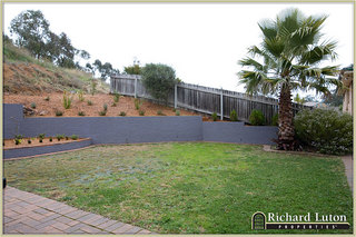 Backyard (2010-08-12)