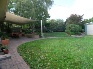 Backyard (2005-05-06)