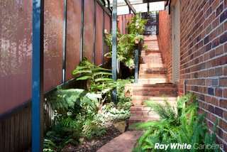 Side Garden (2011-03-10)