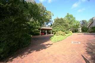 Standard Photo (2011-11-08)