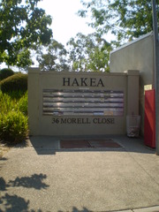 Hakea (2014-12-09)