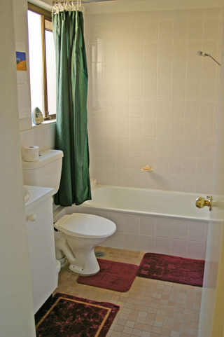 Bathroom (2007-10-03)