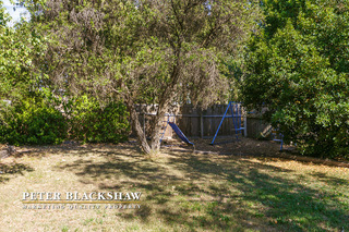 Backyard (2013-01-25)