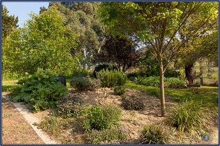 Garden (2012-11-01)
