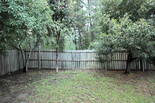 Backyard (2011-03-17)