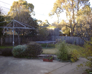 Backyard (2001-07-05)