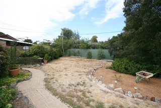 Backyard (2009-03-11)