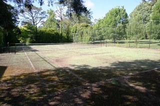 Standard Photo (2011-11-08)