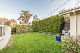 Front Garden (2015-09-24)
