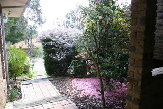 Garden (2005-10-12)
