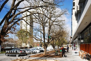 Marcus Clarke Street (2013-09-12)