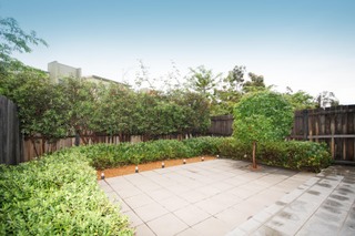 Courtyard (2010-11-17)