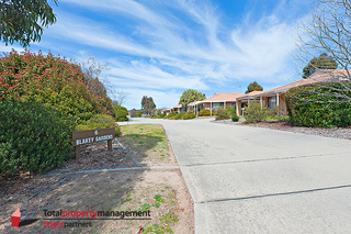 View of Street (2017-10-10)